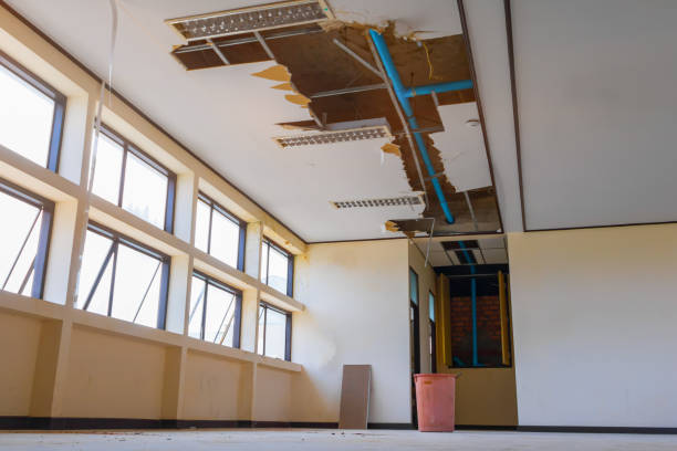 Best Carpet water damage restoration  in Toronto, OH
