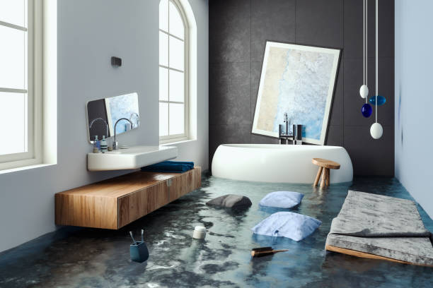 Best Professional water damage repair  in Toronto, OH
