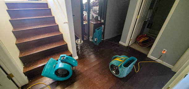 Best Ceiling water damage repair  in Toronto, OH