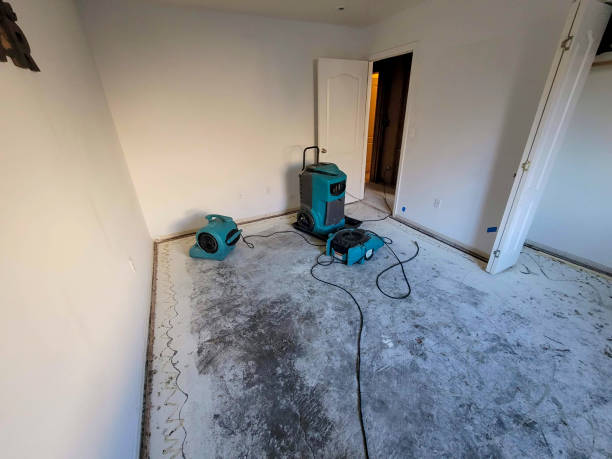 Best Water damage repair service  in Toronto, OH