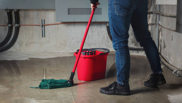Best Flooded house restoration  in Toronto, OH