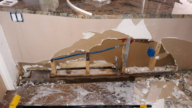 Best Water damage restoration mold remediation  in Toronto, OH