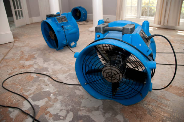 Best Sewage cleanup and water damage restoration  in Toronto, OH