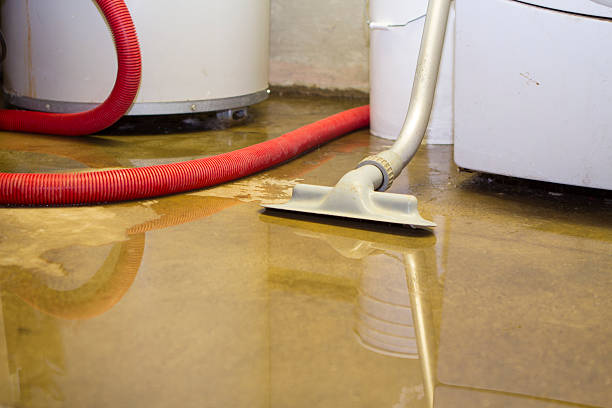 Best Water damage contractors near me  in Toronto, OH