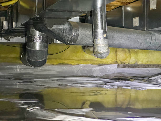 Best Water damage restoration near me  in Toronto, OH