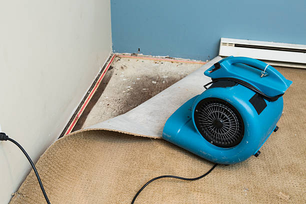 Best Water damage mitigation services  in Toronto, OH